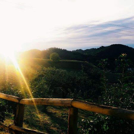 Agriturismo Al Ciliegio Villa Marostica Ngoại thất bức ảnh