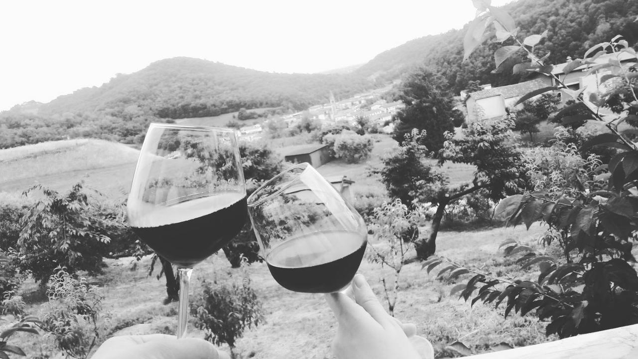 Agriturismo Al Ciliegio Villa Marostica Ngoại thất bức ảnh