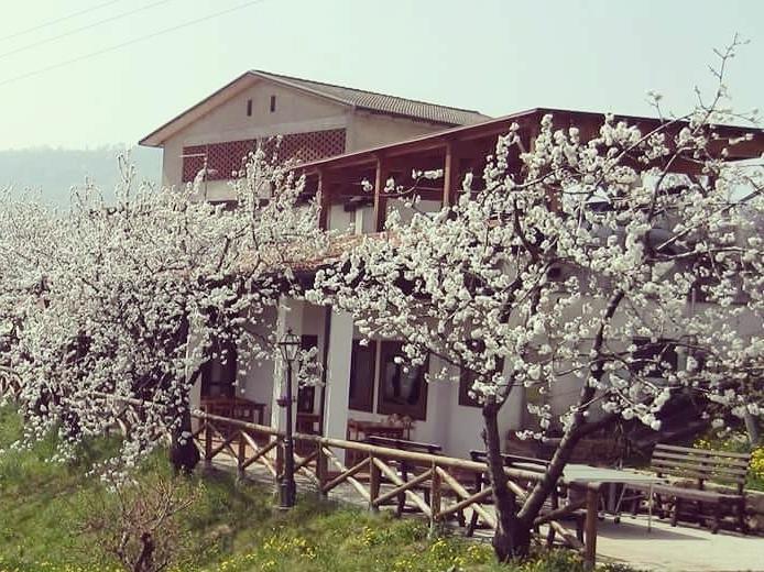 Agriturismo Al Ciliegio Villa Marostica Ngoại thất bức ảnh