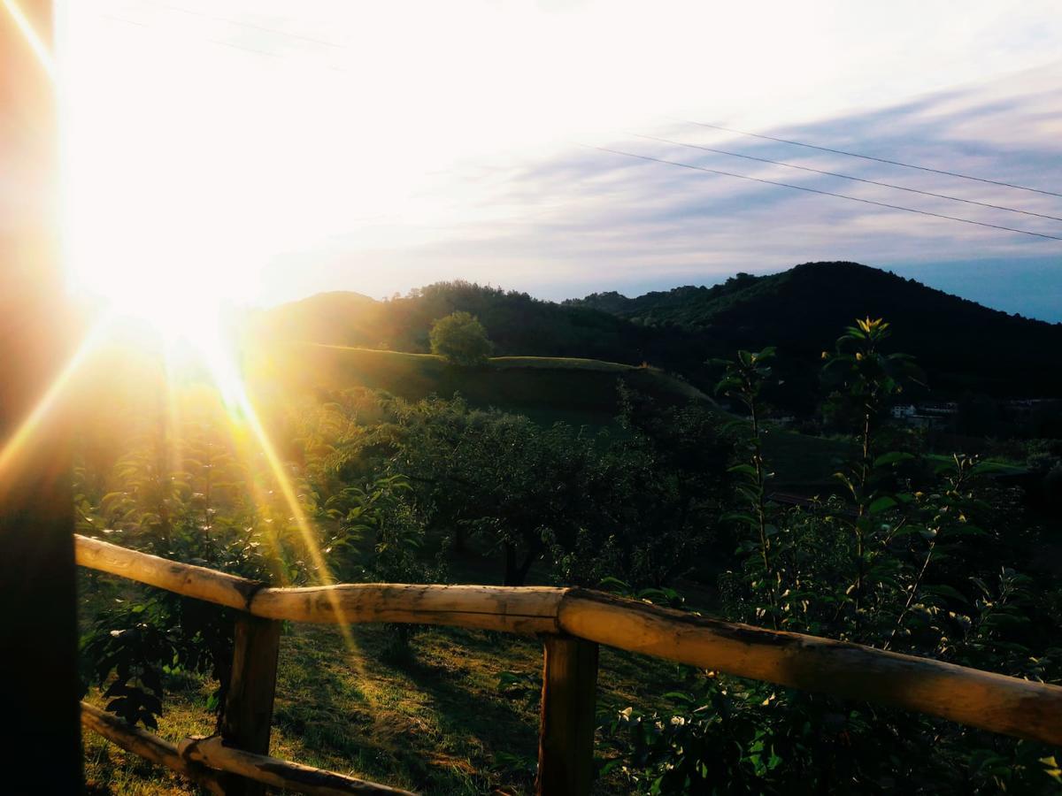 Agriturismo Al Ciliegio Villa Marostica Ngoại thất bức ảnh